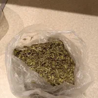 آب زرشک کوهی|خوردنی و آشامیدنی|سلمان‌شهر, |دیوار