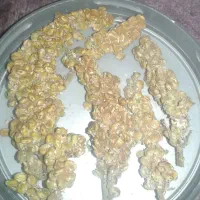 فروش سماق  تازه و امسالی