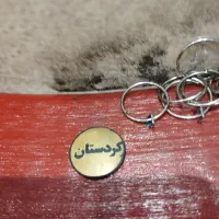 یک عدد دف برند رمو|درام و پرکاشن|کرمانشاه, |دیوار