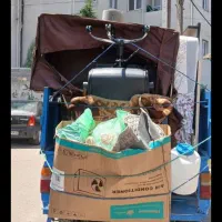 گیلان بار باربری منازل واداره جات|خدمات حمل و نقل|رشت, حمیدیان|دیوار
