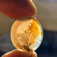 نگین  شجر  عقیق   انگشتر|جواهرات|شیراز, ریاستی|دیوار