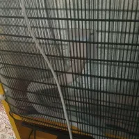 یخچال|یخچال و فریزر|تبریز, |دیوار