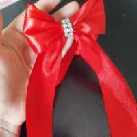 اکسسوری  های زیبا وخاص|بدلیجات|یاسوج, |دیوار