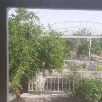 فروش-زمین