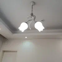 یک جفت متفاوت لوستر آشپزخانه و اتاق خوب