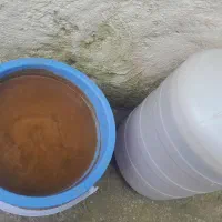 آبغوره تازه محلی