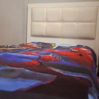 تخت جوان نوجوان شیک چرم