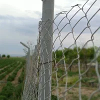 باغ شهری|فروش دفتر صنعتی، کشاورزی، تجاری|مرودشت, نقش رستم|دیوار