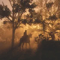 اکانت RDR 2 انلاین