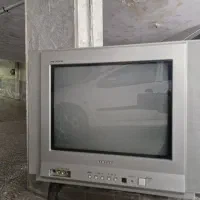 تلوزیون