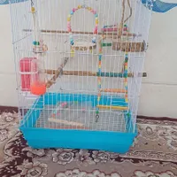 قفس وخونه پرنده|لوازم جانبی حیوانات|رشت, حومه رشت|دیوار