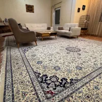 فرش مشهد ۱۲ متری بسیار تمیز|فرش|رشت, کاکتوس|دیوار