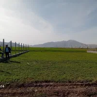 باغ-شهری