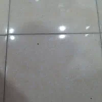 اجاره مغازه