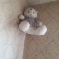 یک عدد عروسک خرس