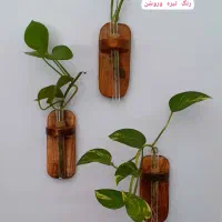 گلدون|گل و گیاه طبیعی|شیراز, صاحب الزمان|دیوار