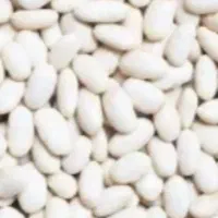 ۳۰۰کیلو لوبیا سفید