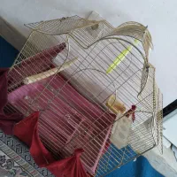 قفس حرفهای|لوازم جانبی حیوانات|فولادشهر, مسکن مهر فولادشهر|دیوار