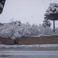 شارژ پیک  نیک باریک موتوری