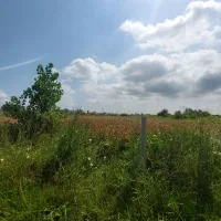 زمین مسکونی مناسب سرمایه گذاری
