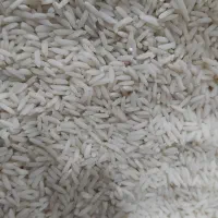 برنج شمال، هاشمی غرب گیلان