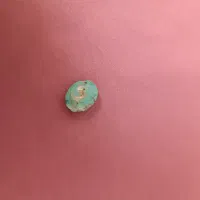 گوشواره وانگشترنقره