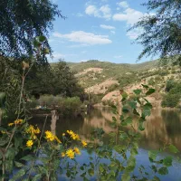 کمپ و طبیعتگردی دریاچه شورمست