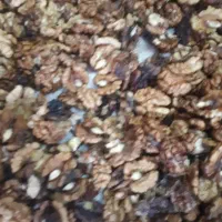 دو کارگر خانم جهت پاک کردن مغز گردو