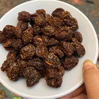 آلو زرد خشک|خوردنی و آشامیدنی|شیراز, تلخ داش|دیوار