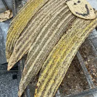 نان سنگک  نانوایی شبانه روزی