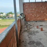 سگ پژدر ماده ۷ماهه تمامی واکسن‌ها هاش خورده شده
