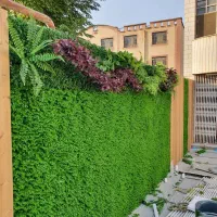 دونیای گرینوال دونیای چمن|گل مصنوعی|قائم‌شهر, |دیوار