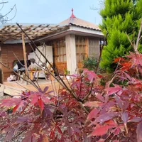 کلبه جنگلی بکر و آرام بسیار تمیز|اجارهٔ کوتاه‌مدت ویلا و باغ|لاهیجان, بازکیاگوراب|دیوار