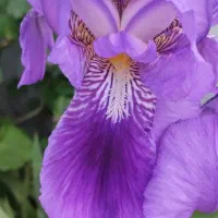 راهنمایی ازدواج می‌خوام