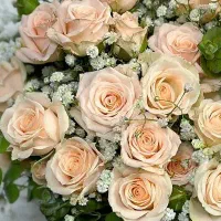 خیاط حرفه ای