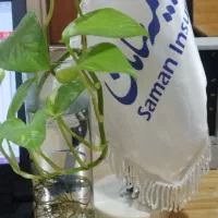 بیمه تکمیل درمان انفرادی و بیمه بازنشستگی طلا