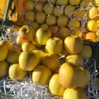 پک میوه مجالس پذیرایی بایرامی