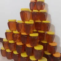عسل خوشمزه زنبوردار|خوردنی و آشامیدنی|تهران, شهرک ولیعصر جنوبی|دیوار