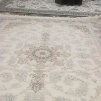 فرش نو|فرش|قم, کلهری|دیوار