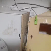 انواع لانه|پرنده|شیراز, شریفآباد|دیوار