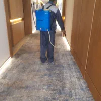 سم پاشی.ساس.موریانه. موچه.سوسک ریزو بزرگ