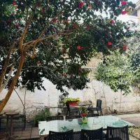 خدماتی و ظرفشویی