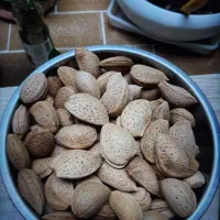بادام سنگی