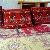 پشتی 10 عدد|رختخواب، بالش، پتو|برازجان, |دیوار