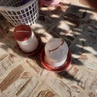 فروش قفس مرغ وجوجه|لوازم جانبی حیوانات|زیرآب, |دیوار