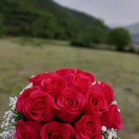 گل های ربانی