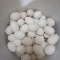 تخم مرغ محلی