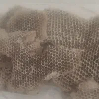 عسل بزباو
