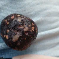 سنگ کلکسیونی|جواهرات|لنگرود, |دیوار