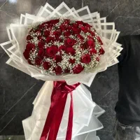 گل رز قرمز هلندی شاخه فقط ۵۰ هزار تولید مستقیم